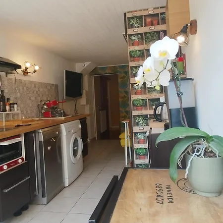 Athena Apartment